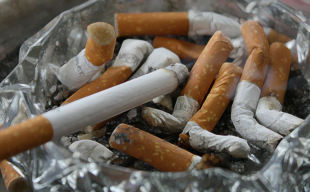 ¿Cuál será el precio de los cigarrillos en 2024? ECIG ARGENTINA